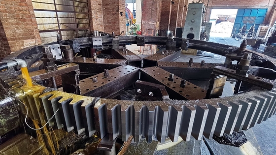 Ongeldige Externe/Interne Omtrektoestel en Pignon voor Aangepaste Diameter