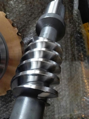 395 mm Spitsdiameter Worm Shaft en Worm Gear met 0,2 kg gewicht