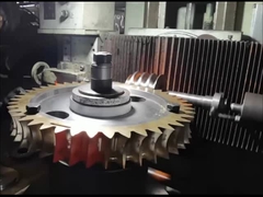 OEM ZCuAl10Fe3 Worm Shaft en Worm Gear Set 15 module