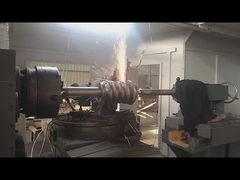 395 mm Spitsdiameter Worm Shaft en Worm Gear met 0,2 kg gewicht